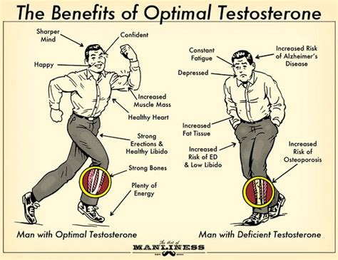 ztestordne porn